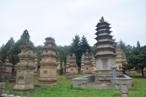 Pagoda Forest